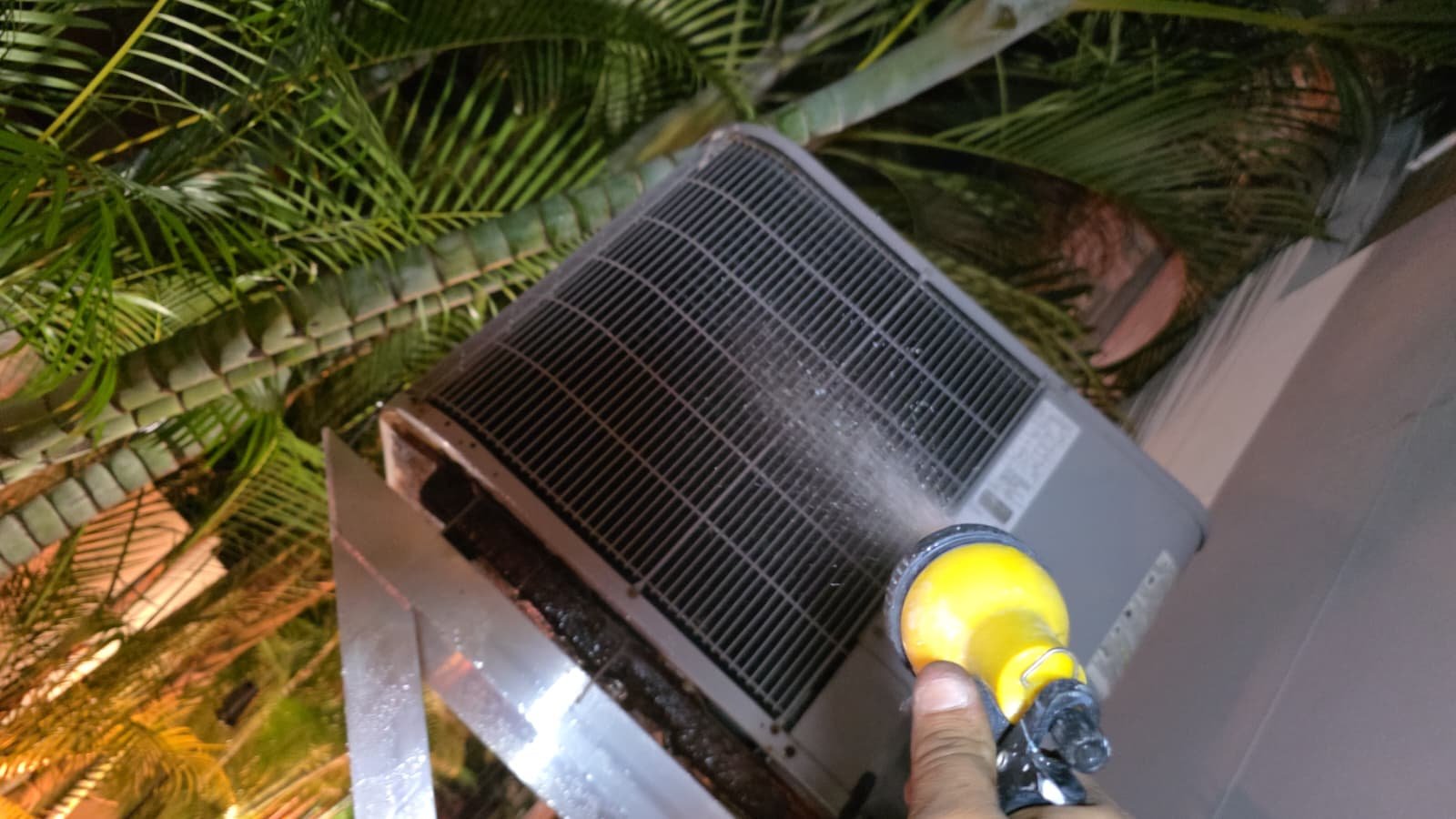 Air filter sizing and replacement check in Tampa, FL 33606 AC system