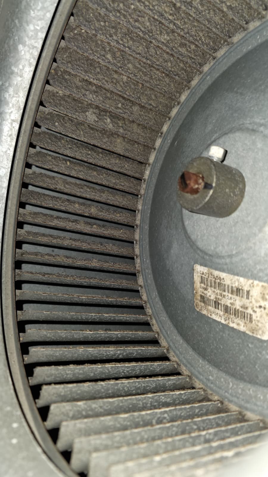 AC filter compartment checked for correct size in Tampa, FL 33606