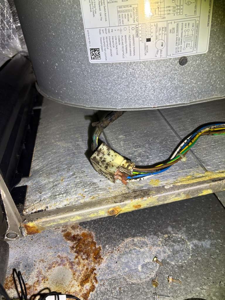 Air conditioning tune-up in Tampa, FL 33619 with coil cleaning and system flushing