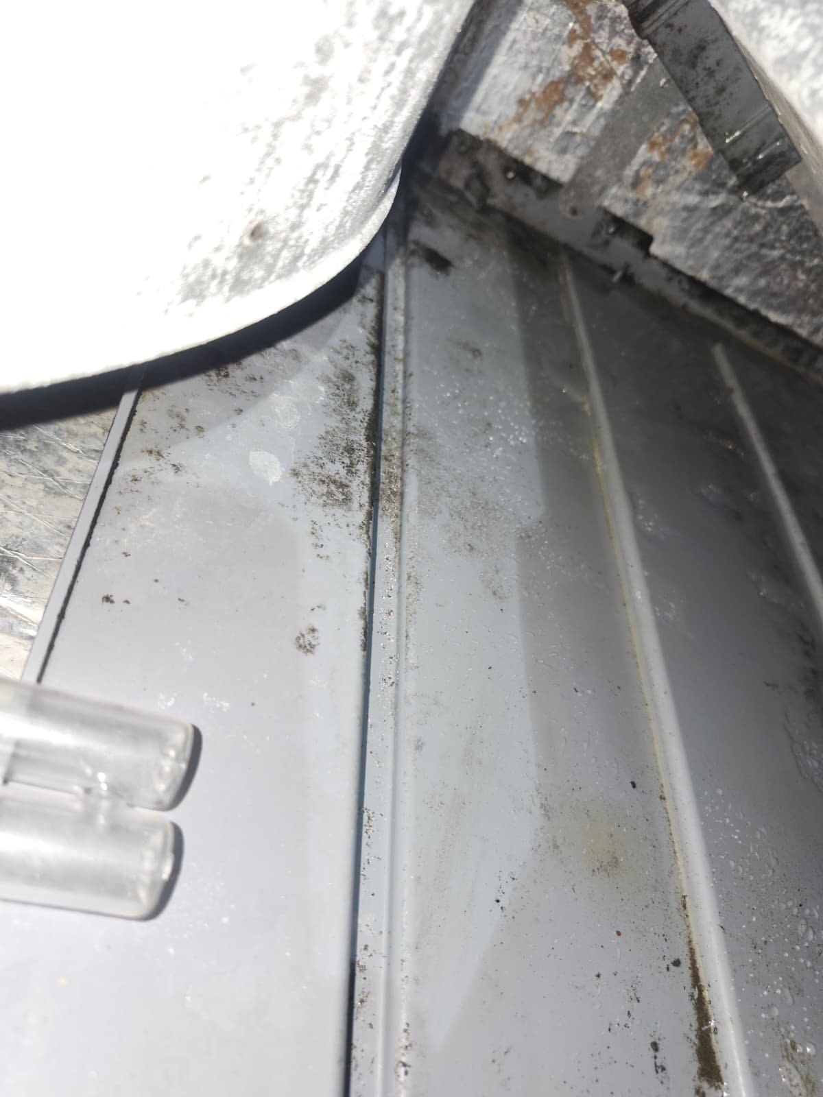 Evaporator coil cleaning assessment during Premium Home Therapy Plan in Clearwater, FL 33755