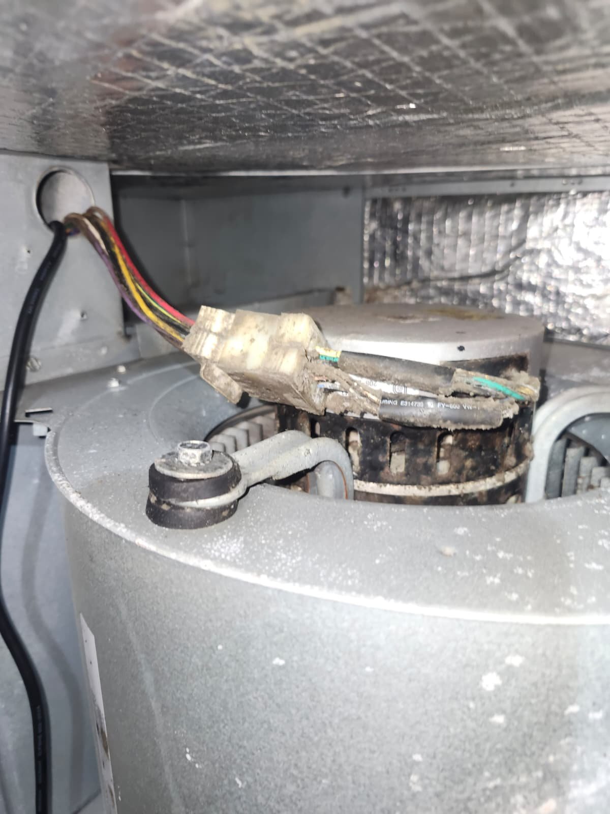 Organic buildup on HVAC components before deep cleaning in Clearwater, FL 33755