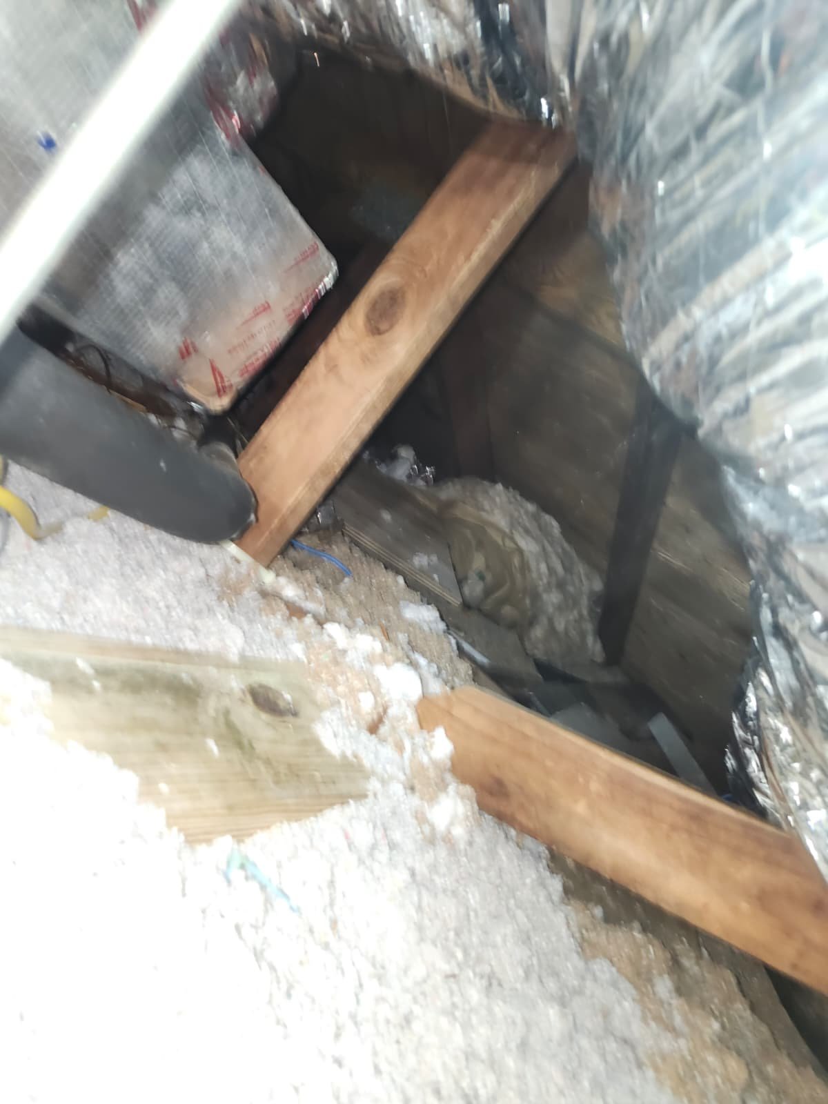 Technician checking AC control board issues in Clearwater, FL 33755 home