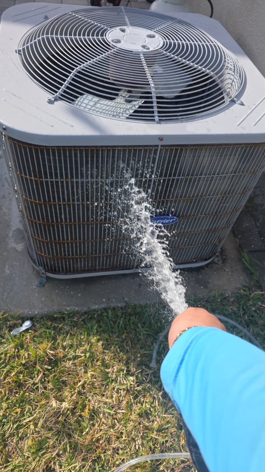 AC unit organic growth found during maintenance in Wesley Chapel, FL 33545