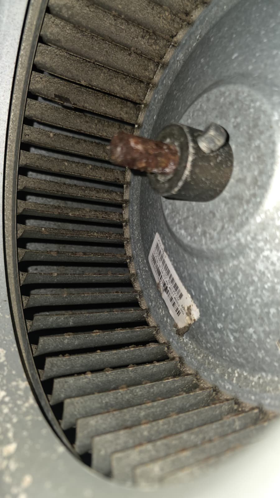 Cleaned blower wheel reinstalled after HVAC service in Wesley Chapel, FL 33545