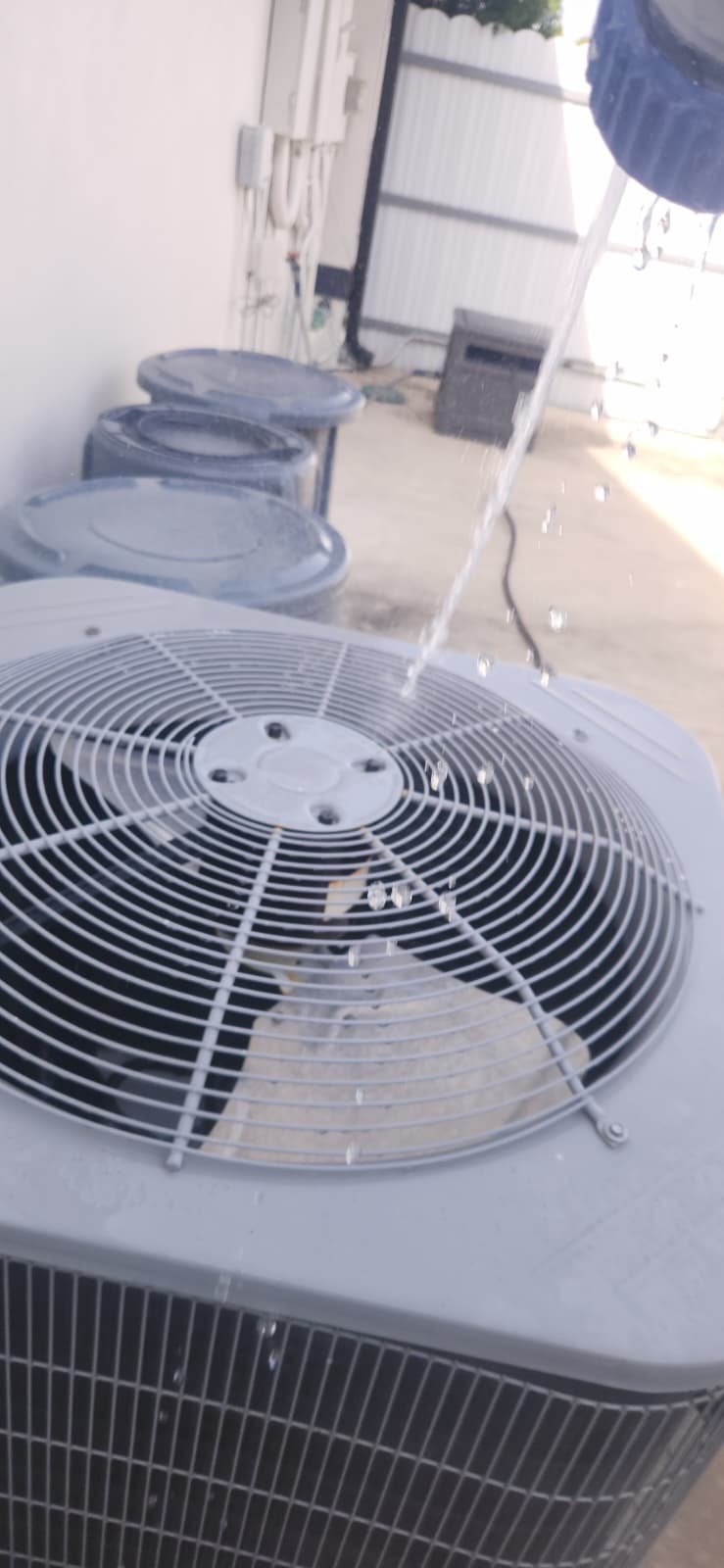 Inspection of five year old Carrier cooling system in Tampa, FL 33634