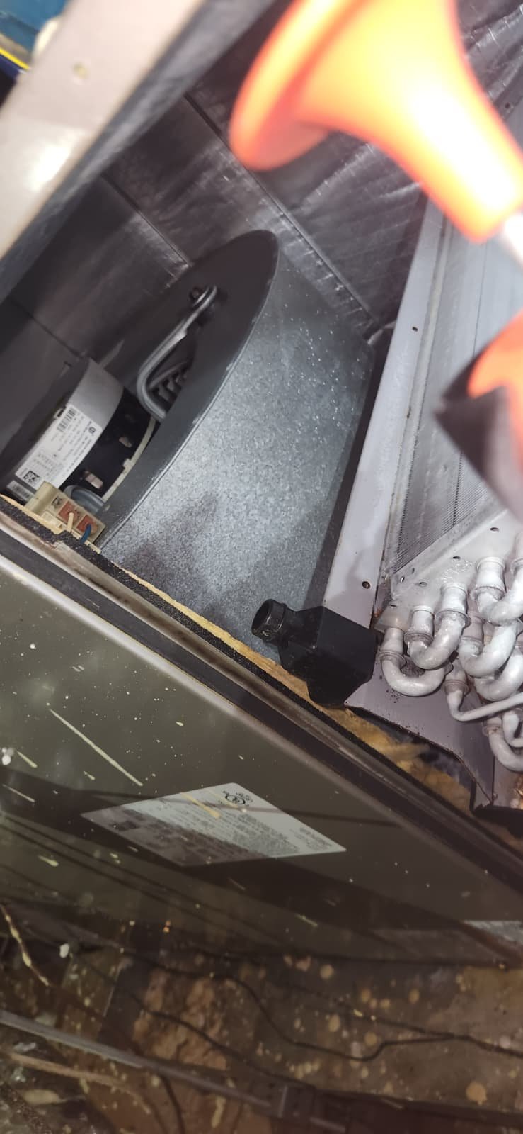 Completed Carrier air conditioner maintenance visit in Tampa, FL 33634