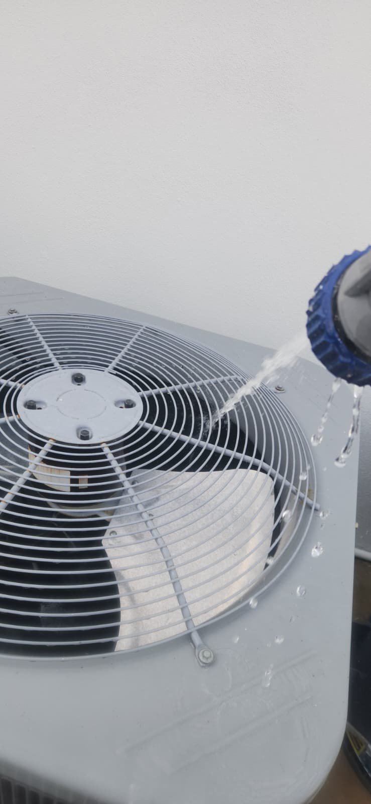 Detail of Carrier outdoor AC unit during quarterly service in Tampa, FL 33634