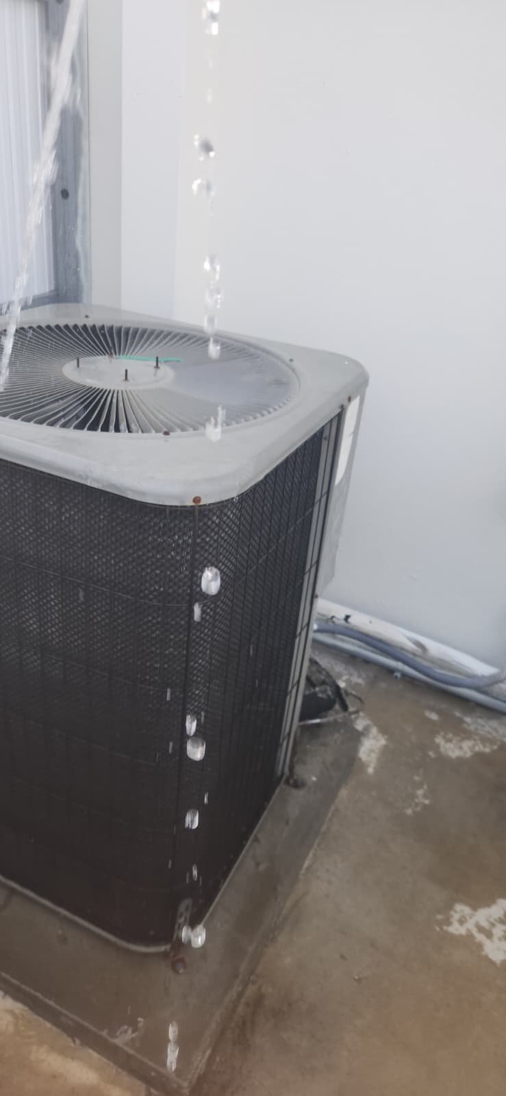 HVAC maintenance visit under quarterly service agreement in Tampa, FL 33634