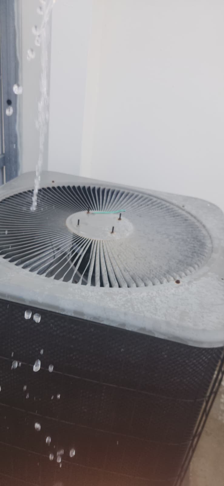 Technician checking refrigerant levels during AC maintenance in Tampa, FL 33634