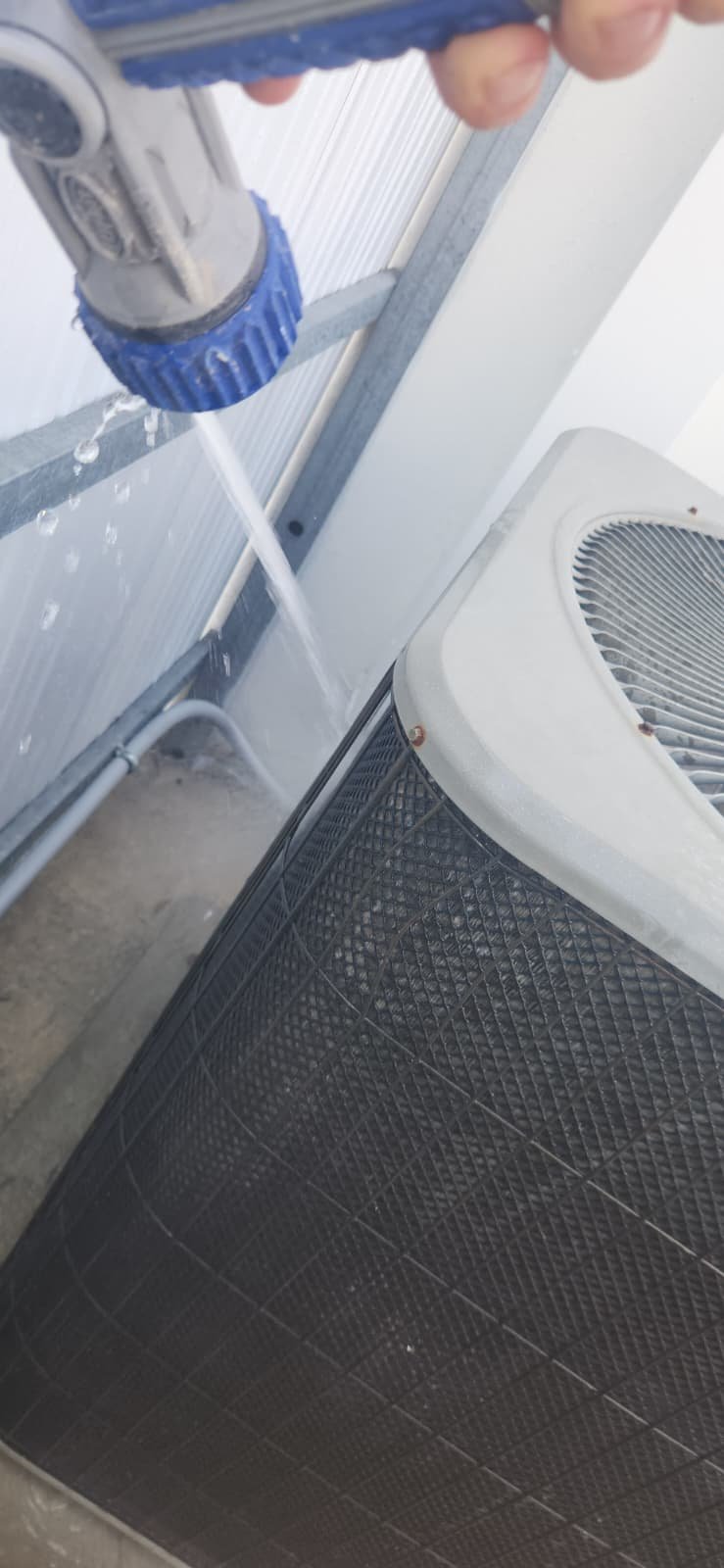 Carrier AC system running within normal parameters in Tampa, FL 33634