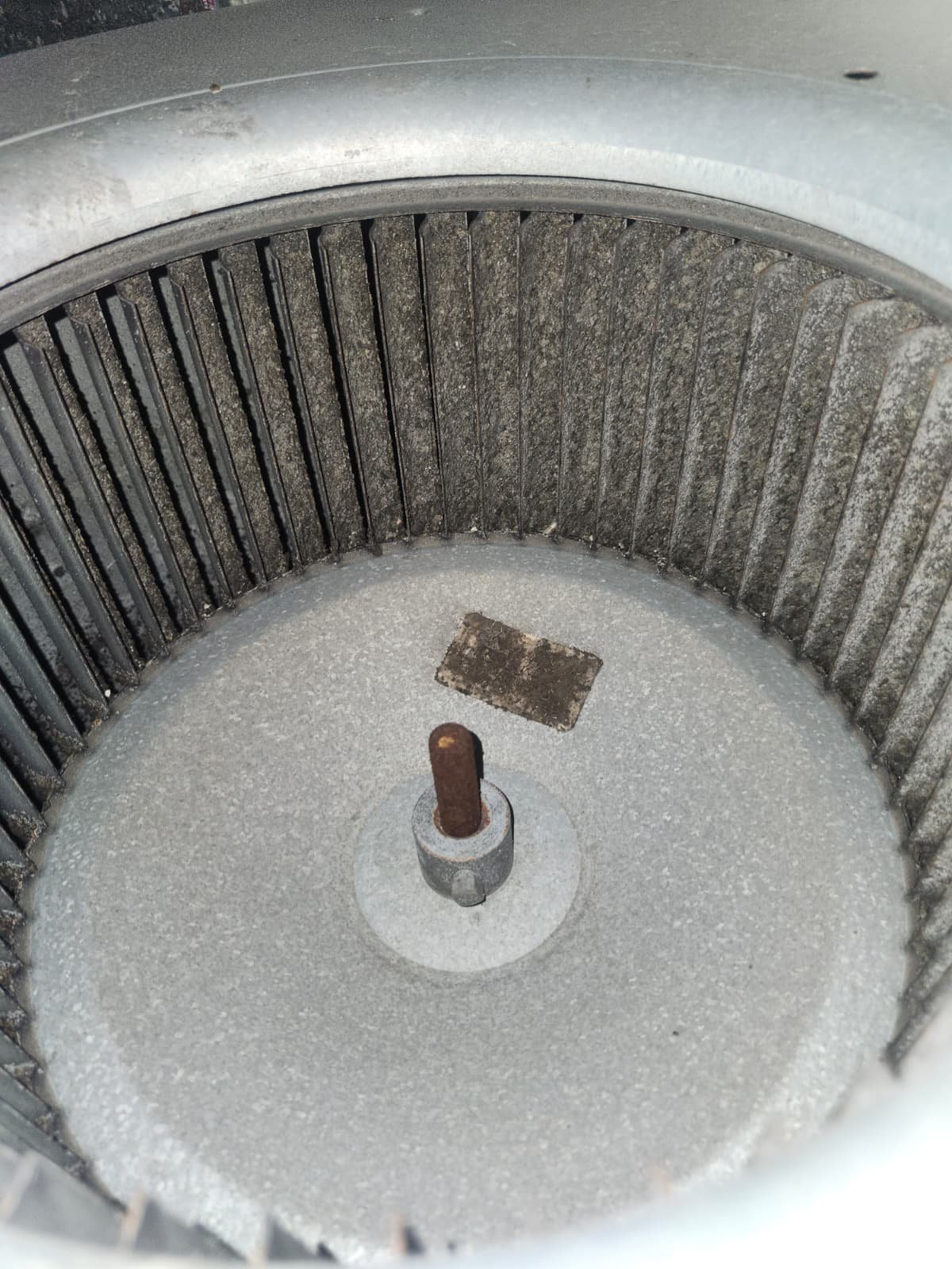 AC maintenance technician checking refrigerant in Riverview, FL 33579