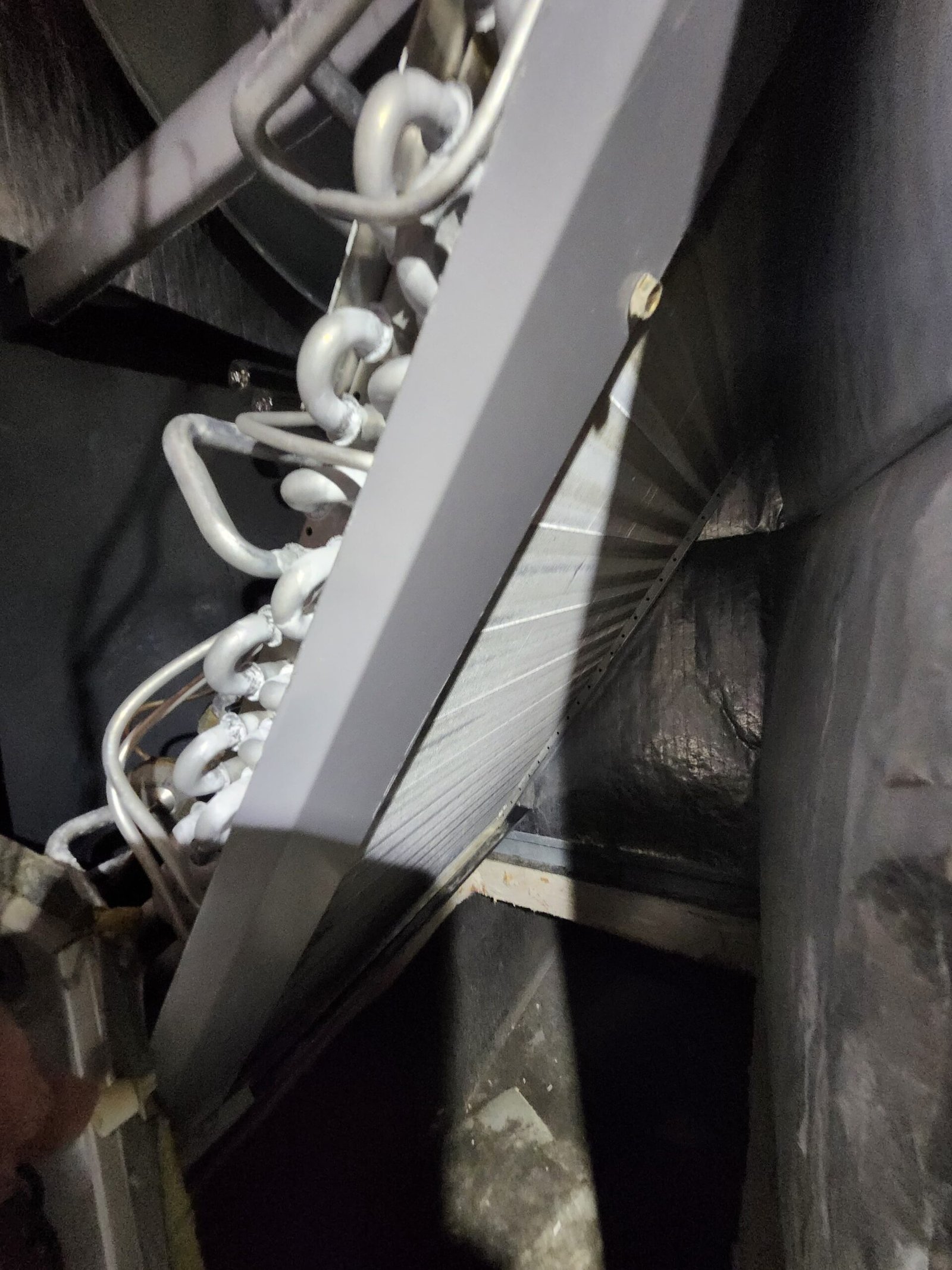 Home therapy plan assessment visit in Land O' Lakes, FL 34637