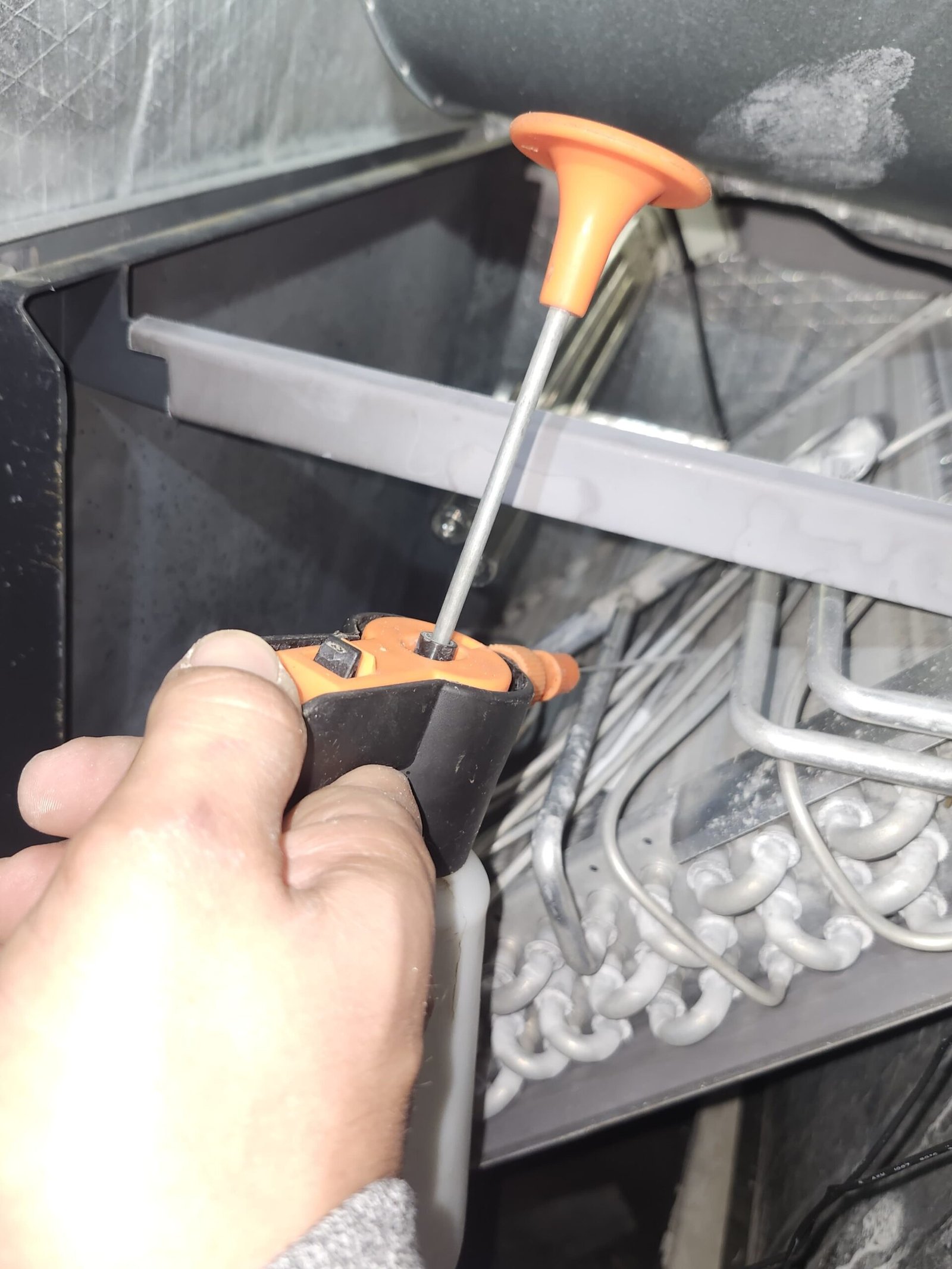 Premium home therapy plan exercises in Land O' Lakes, FL 34637 living space