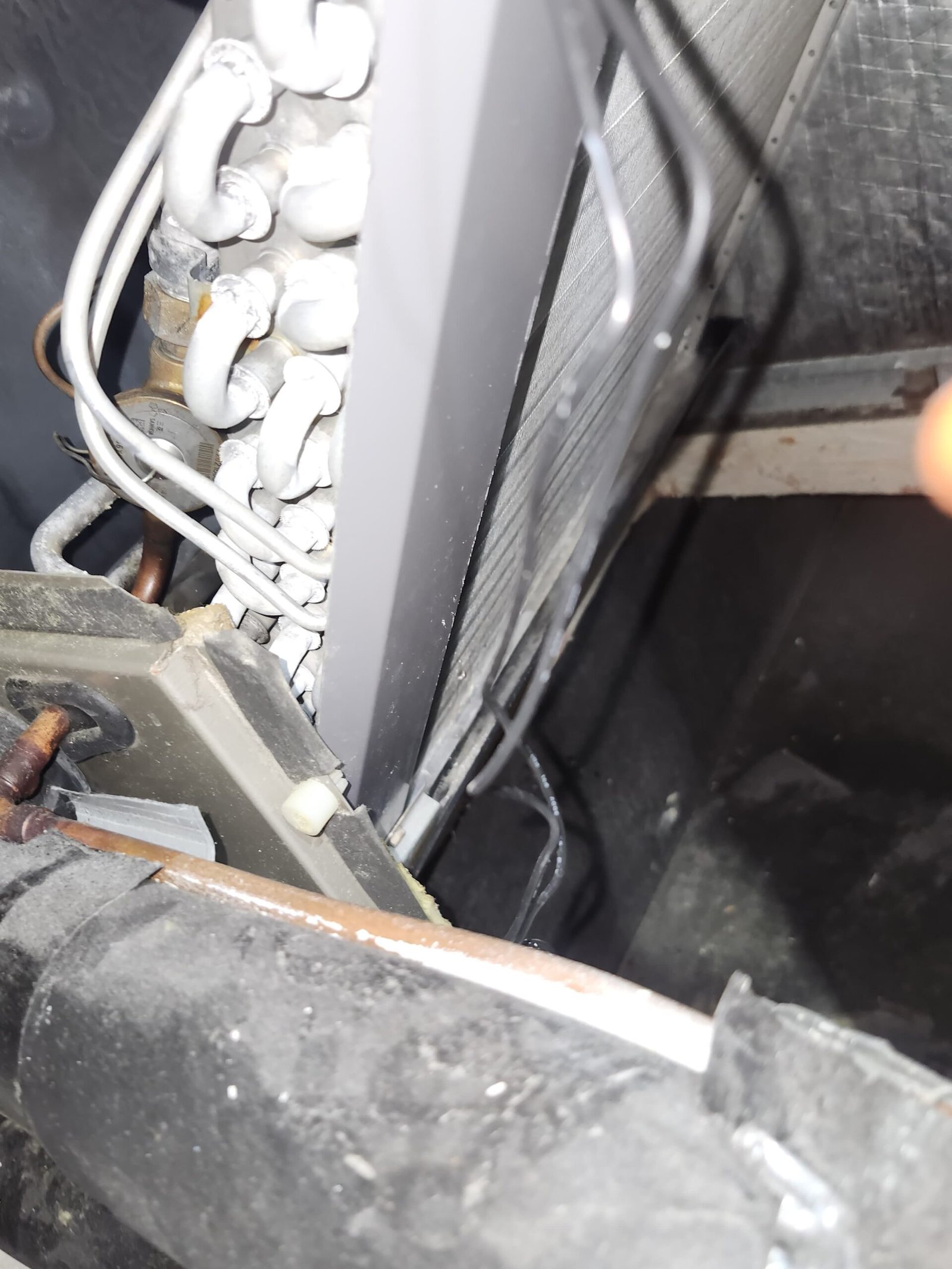 Premium in-home therapy session setup in Land O' Lakes, FL 34637