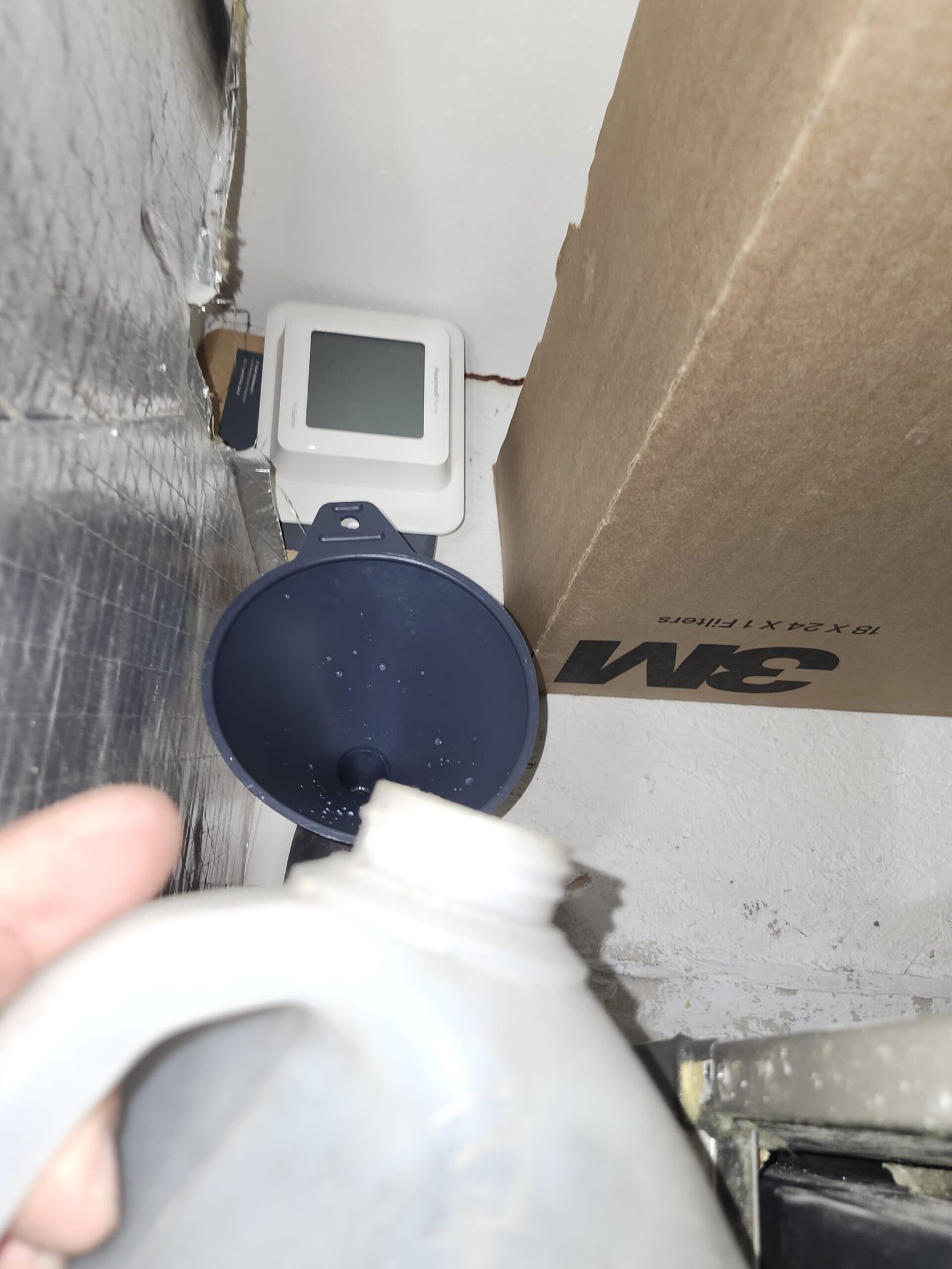 Therapist providing premium home therapy care in Land O' Lakes, FL 34637