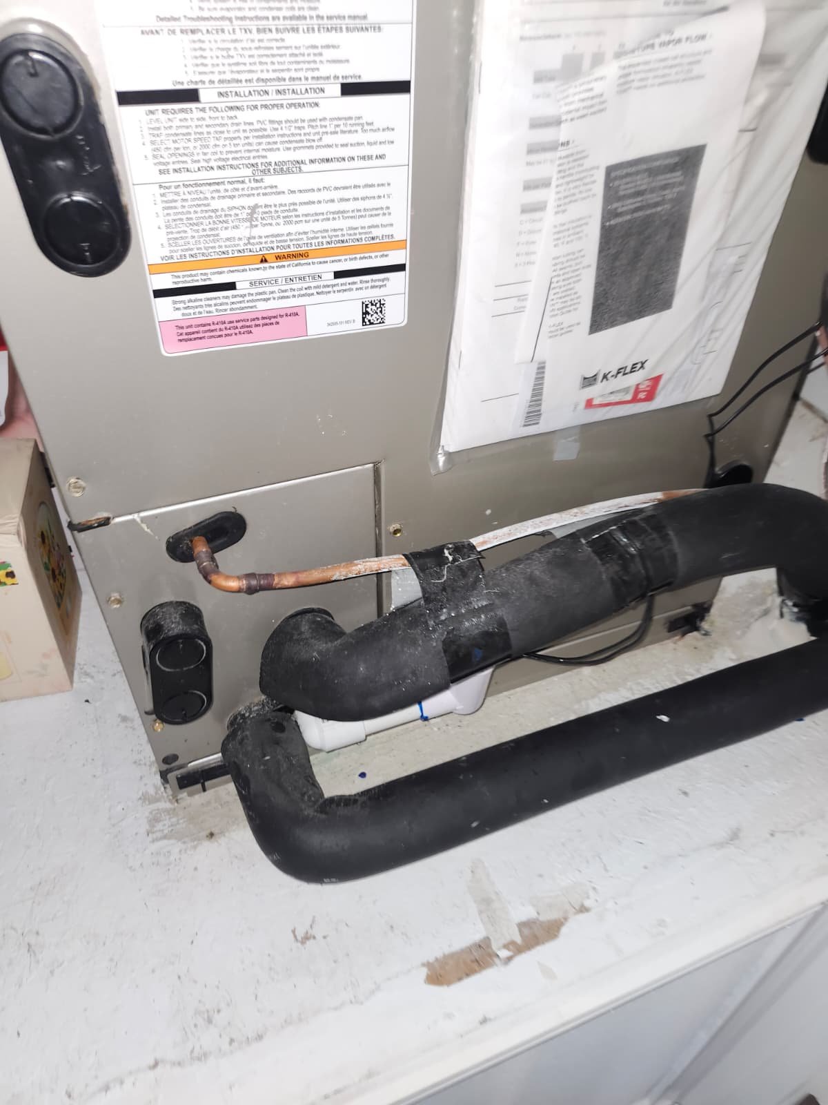 Premium home therapy plan setup in Land O' Lakes, FL 34637 home