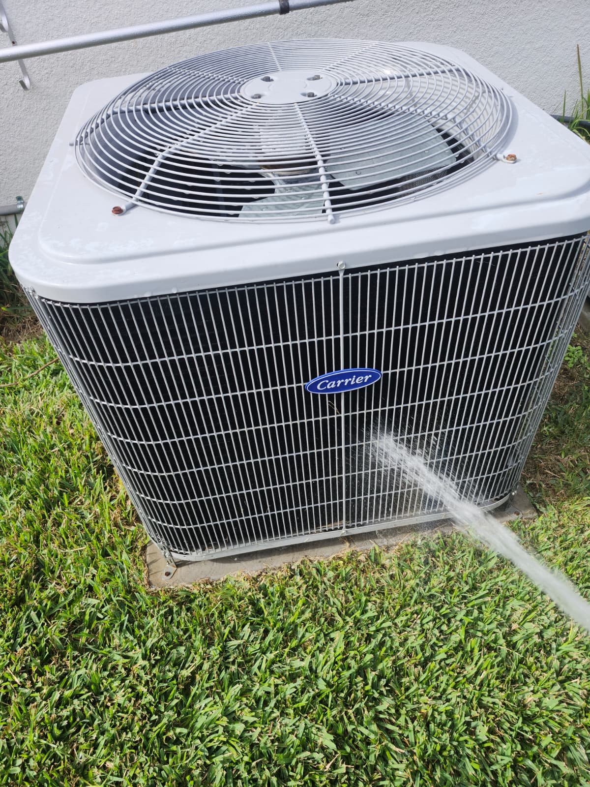 Detail of premium home therapy plan care in Land O' Lakes, FL 34637