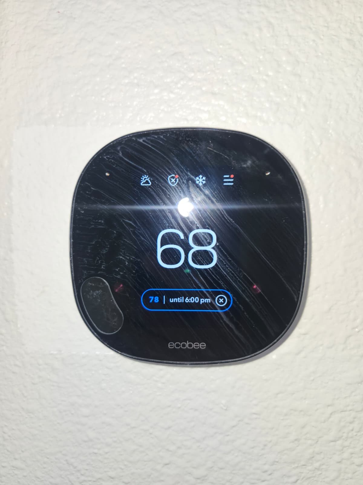 Home therapy plan equipment arranged in Land O' Lakes, FL 34637