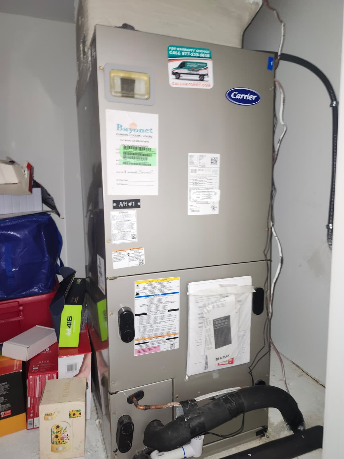 Completed premium home therapy plan visit in Land O' Lakes, FL 34637