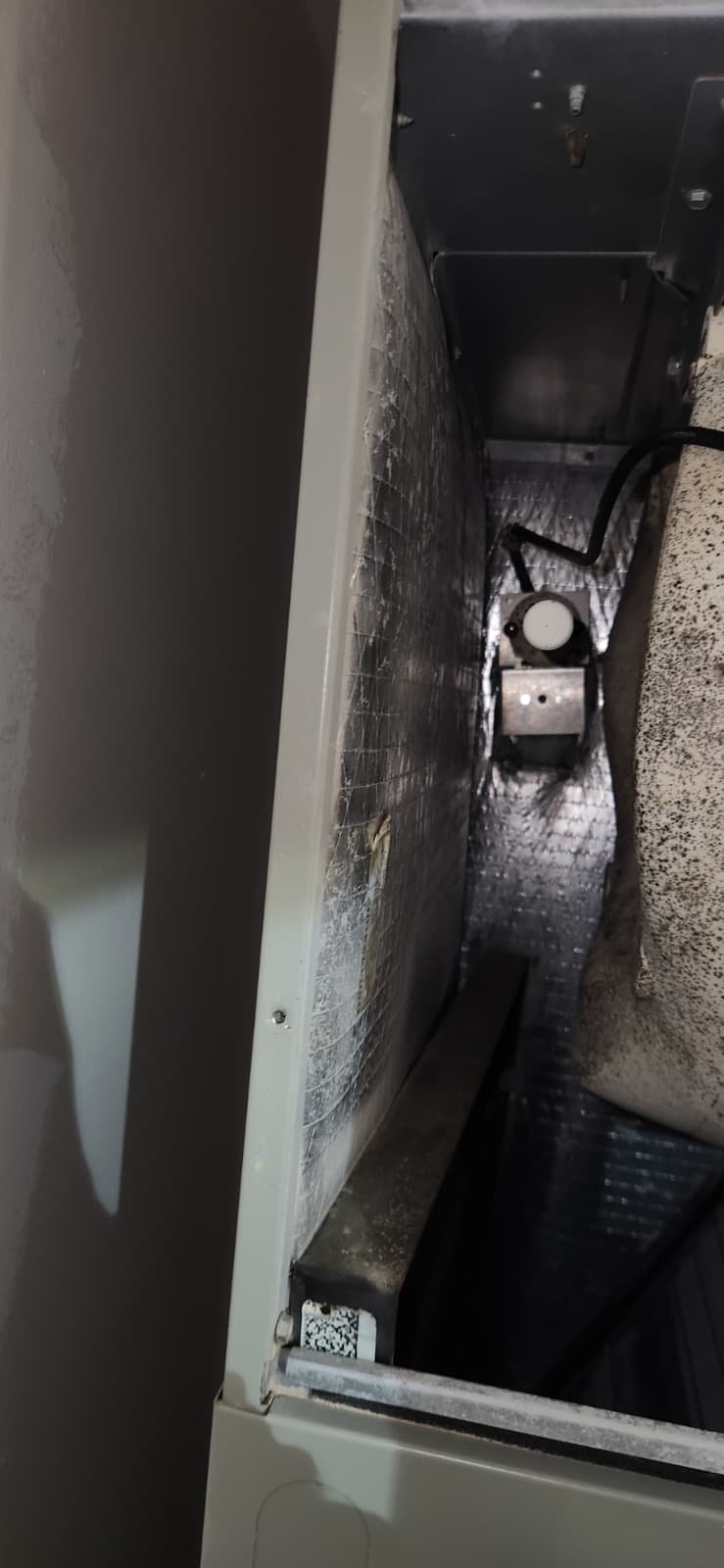 AC tune-up service on residential HVAC system in Tampa, FL 33618