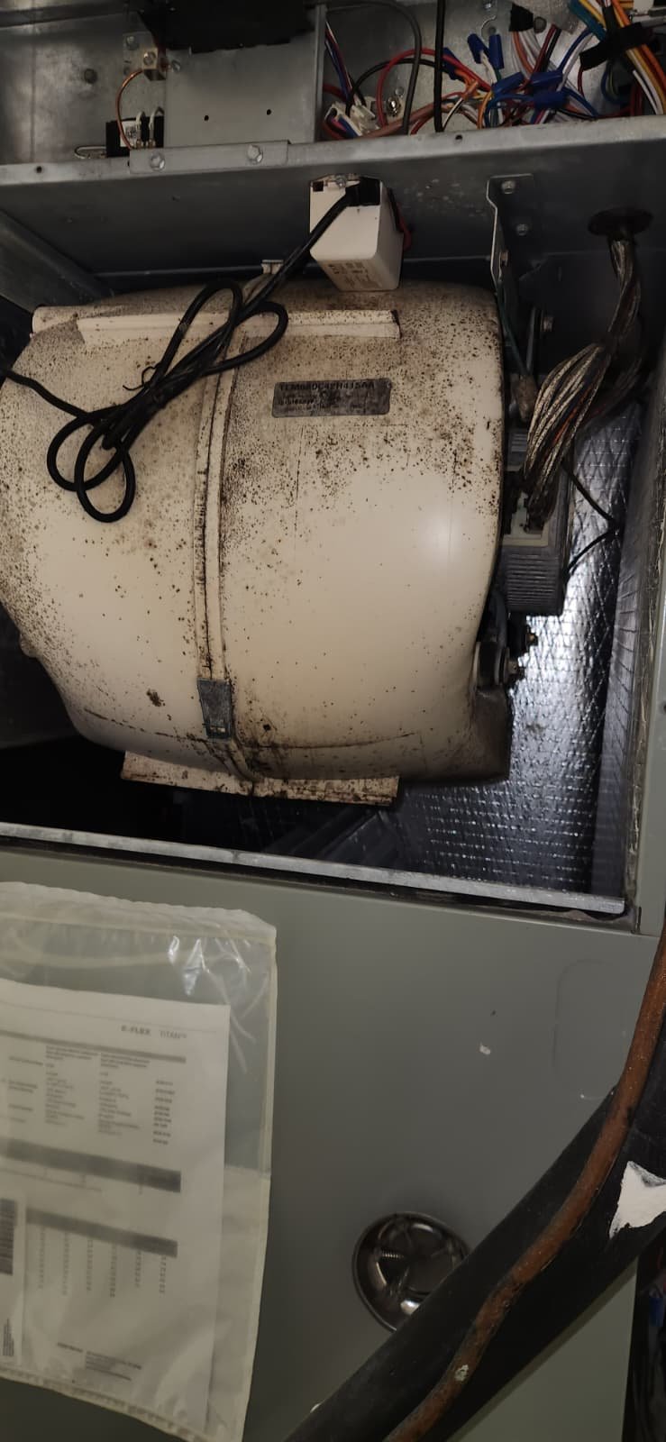 Technician performing air conditioning tune-up in Tampa, FL 33618