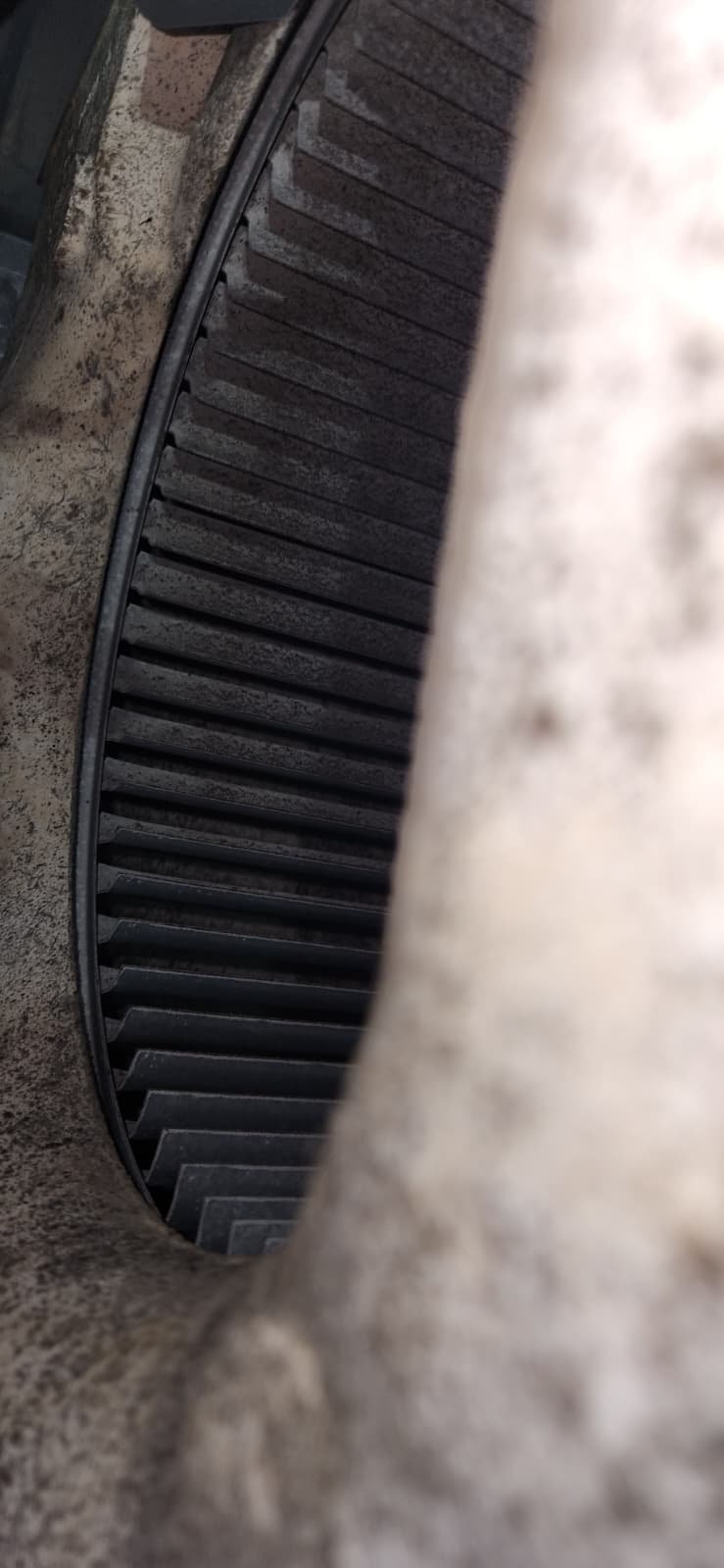 HVAC coil and drain line inspection during AC tune-up in Tampa, FL 33618