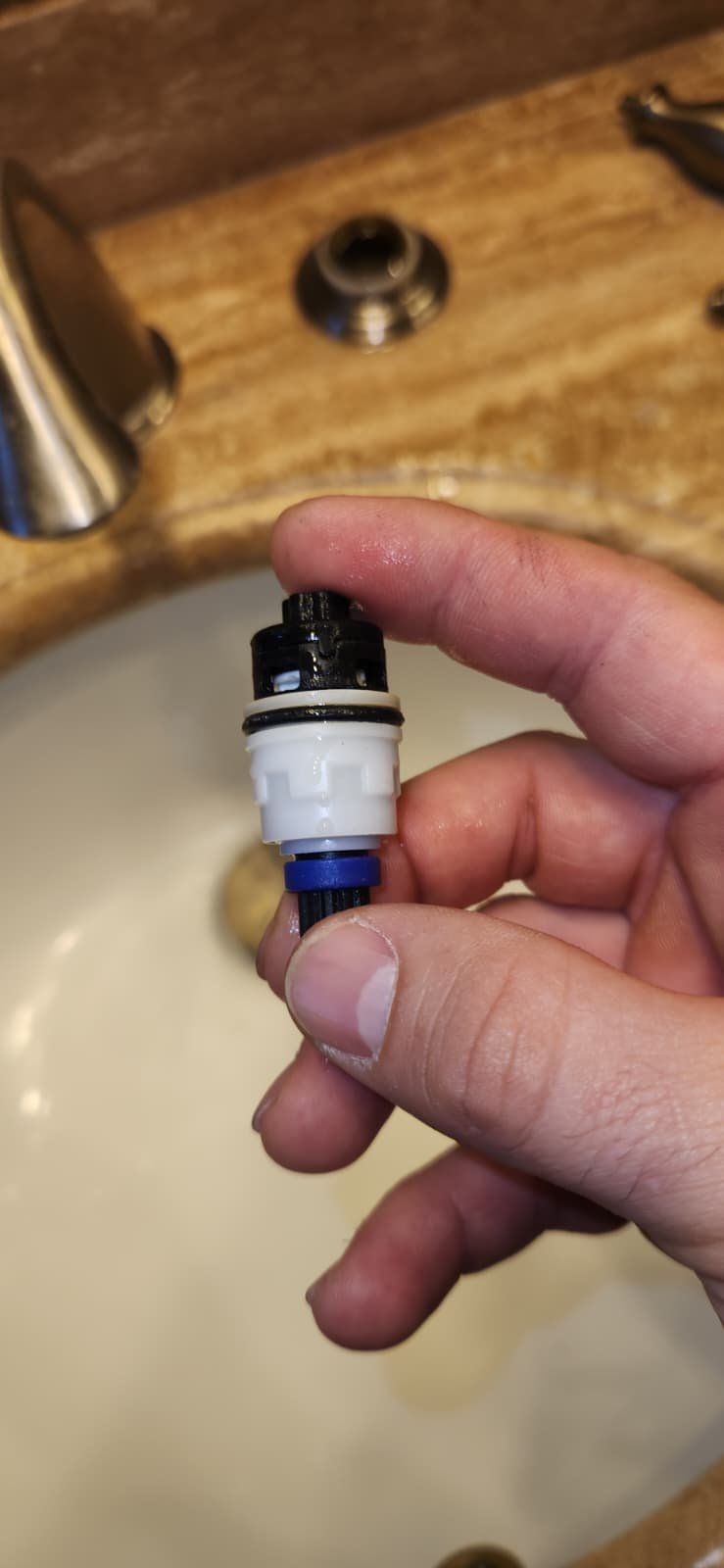 Old kitchen sink drain strainer before replacement in Tampa, FL 33618