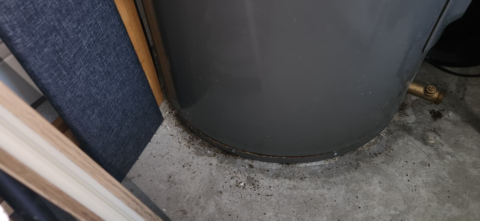 Inspecting water heater anode rod during maintenance in Tampa, FL 33609