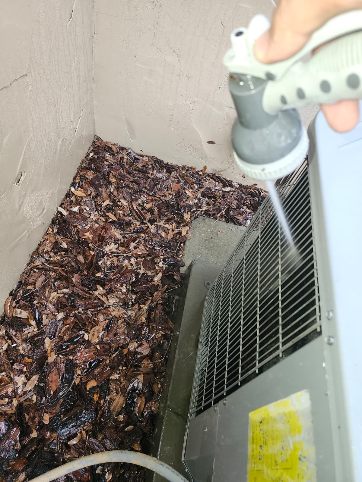 Detail from Elite Home Therapy maintenance work in Lutz, FL 33559