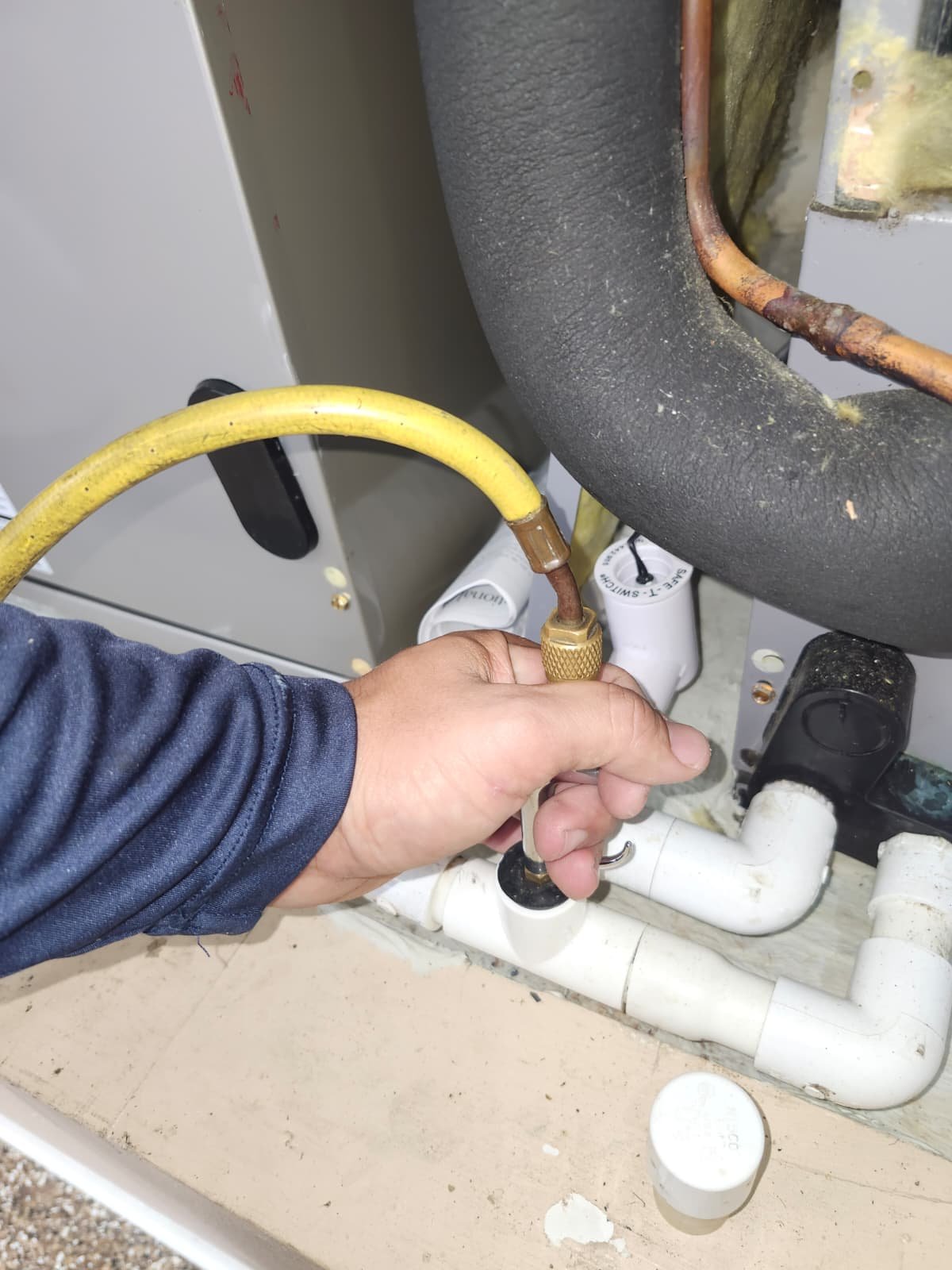 Elite Home Therapy team performing maintenance visit in Lutz, FL 33559