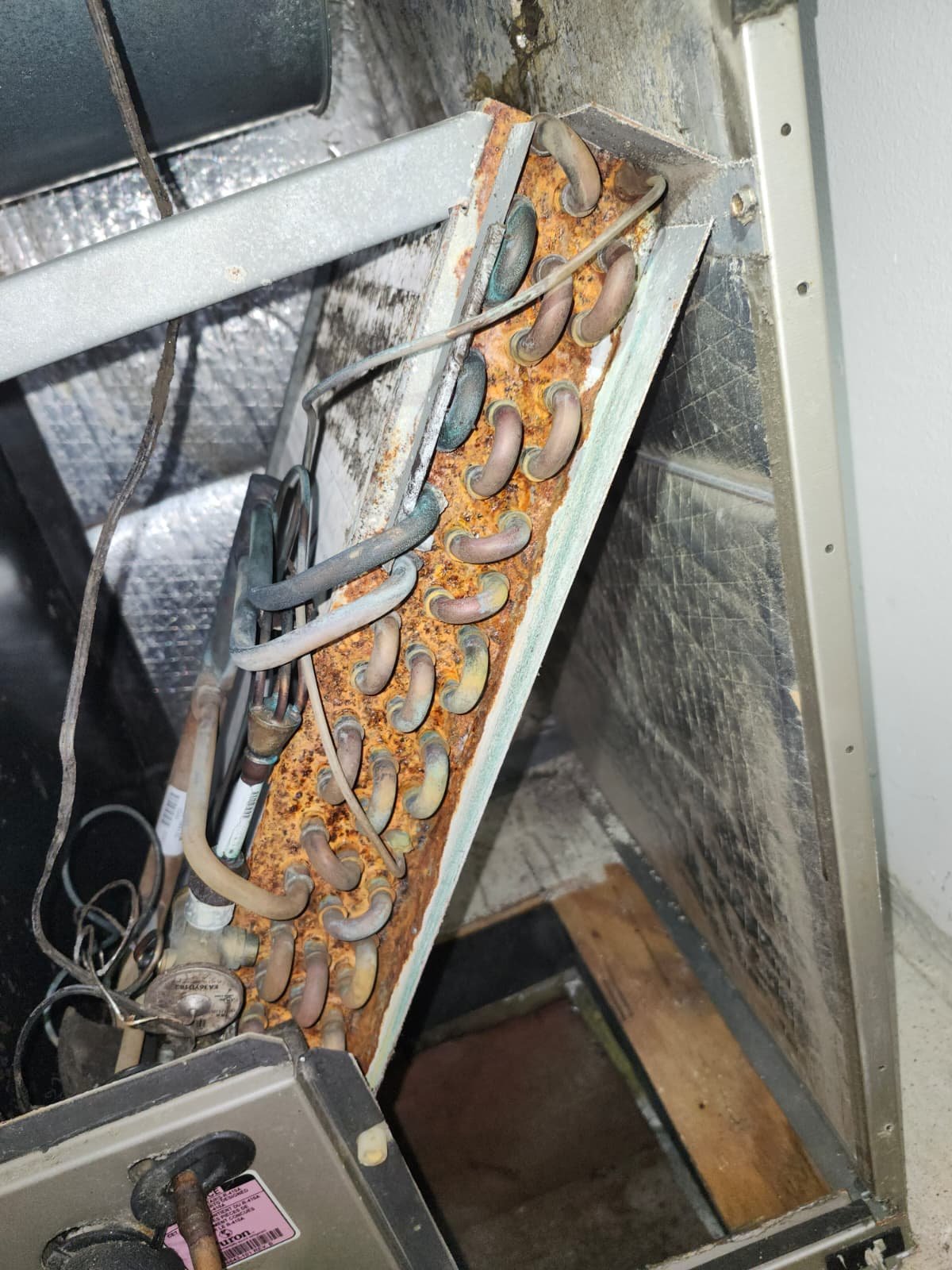 A/C tune-up inspection on aging indoor unit in Odessa, FL 33556