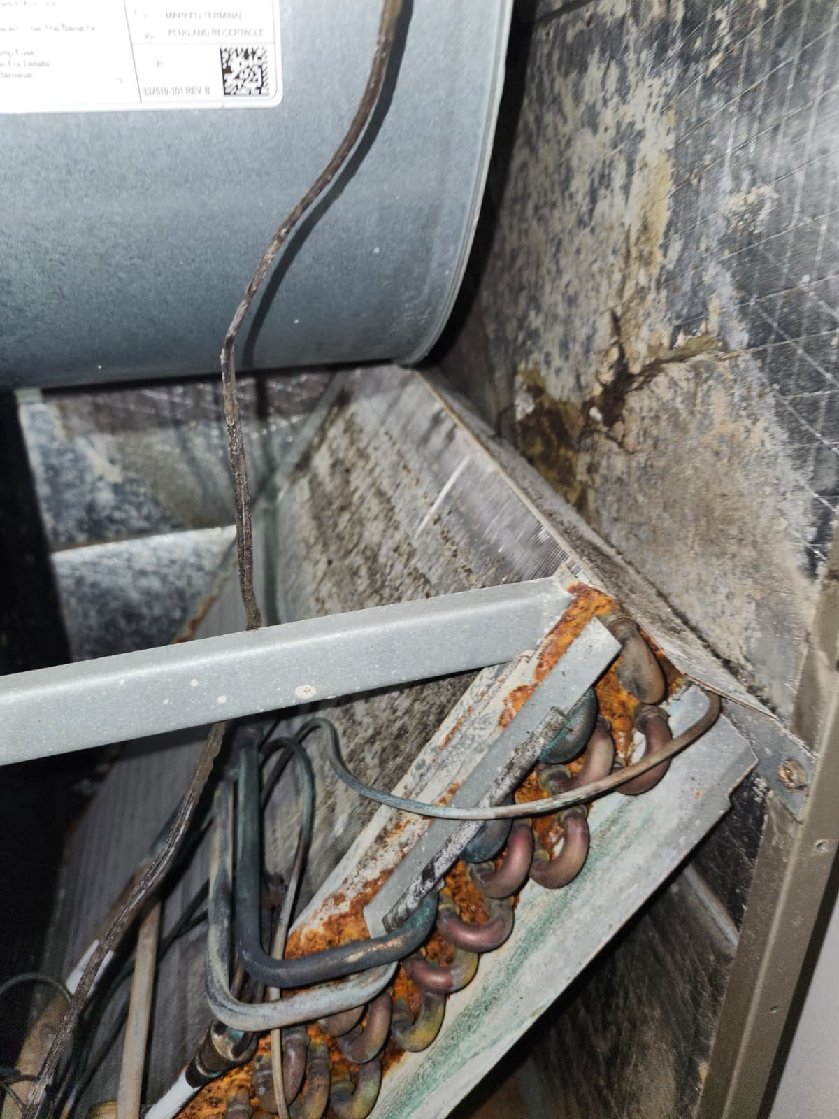 A/C tune-up technician checking components and wiring in Odessa, FL 33556