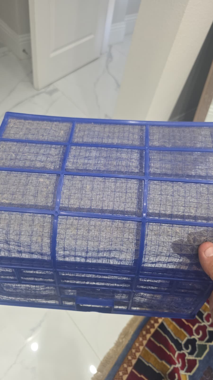 Indoor mini-split cleaning during Value Plan visit in Apollo Beach, FL 33572