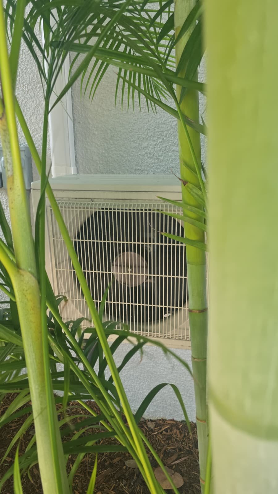 Drain line cleaning for mini-split system in Apollo Beach, FL 33572