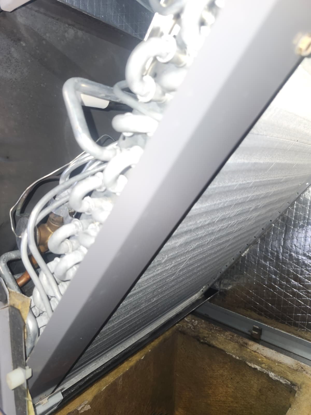 Refrigerant check during AC maintenance in St. Petersburg, FL 33705