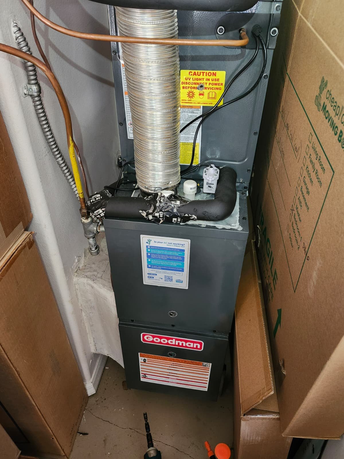 HVAC duct sanitation inspection for premium service plan in Tampa, FL 33647