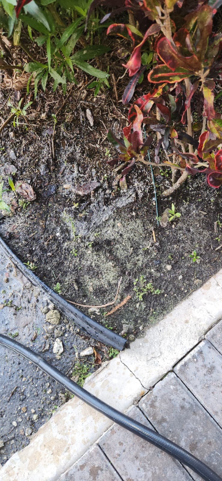 Water heater anode rod inspection and leak check in Tampa, FL 33634