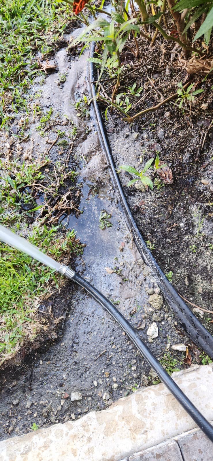 Water heater flush and sediment cleaning service in Tampa, FL 33634