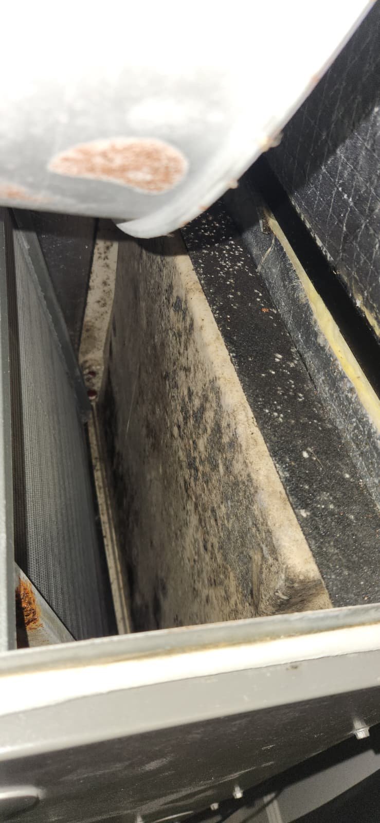 Tampa FL 33634 AC tune-up technician tightening electrical connections