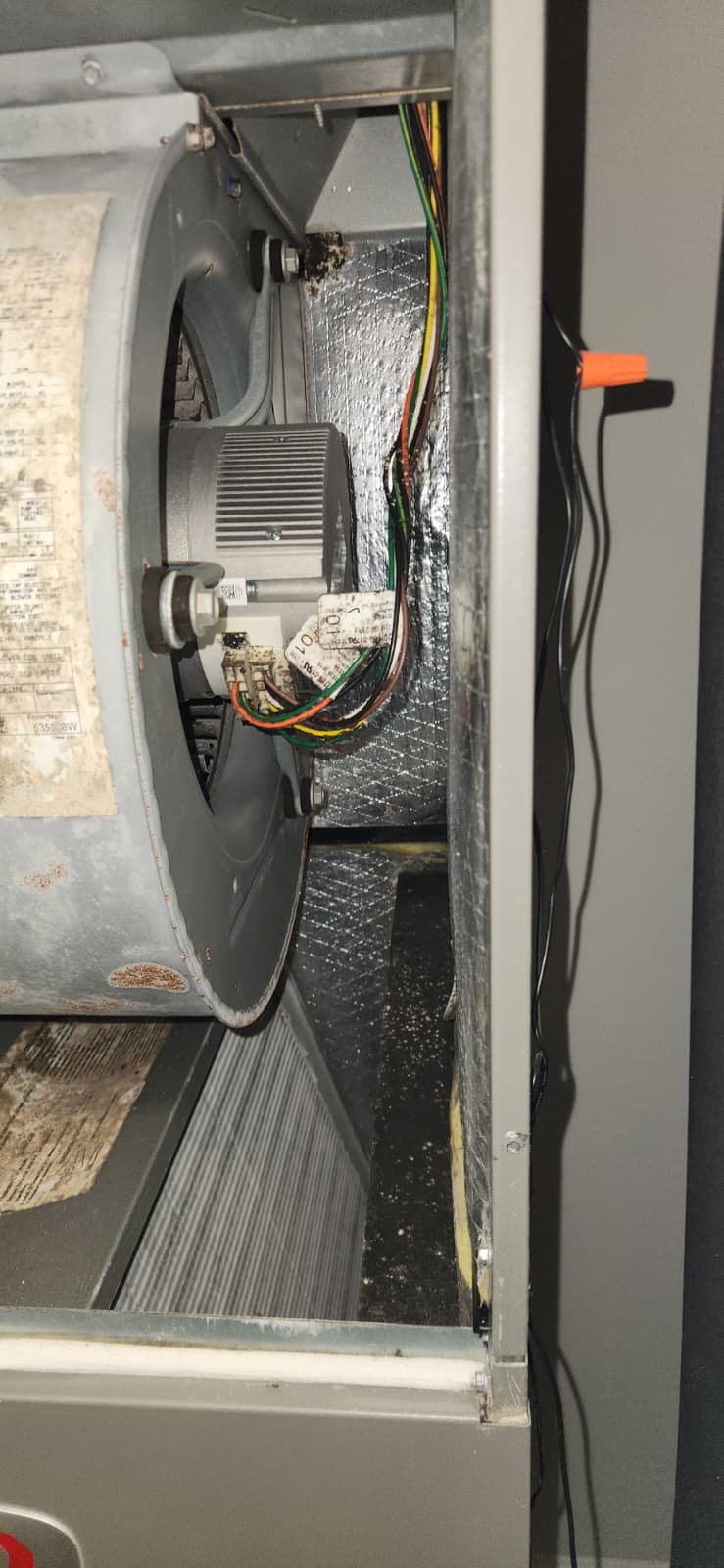 AC tune-up in Tampa, FL 33634 final inspection of outdoor unit