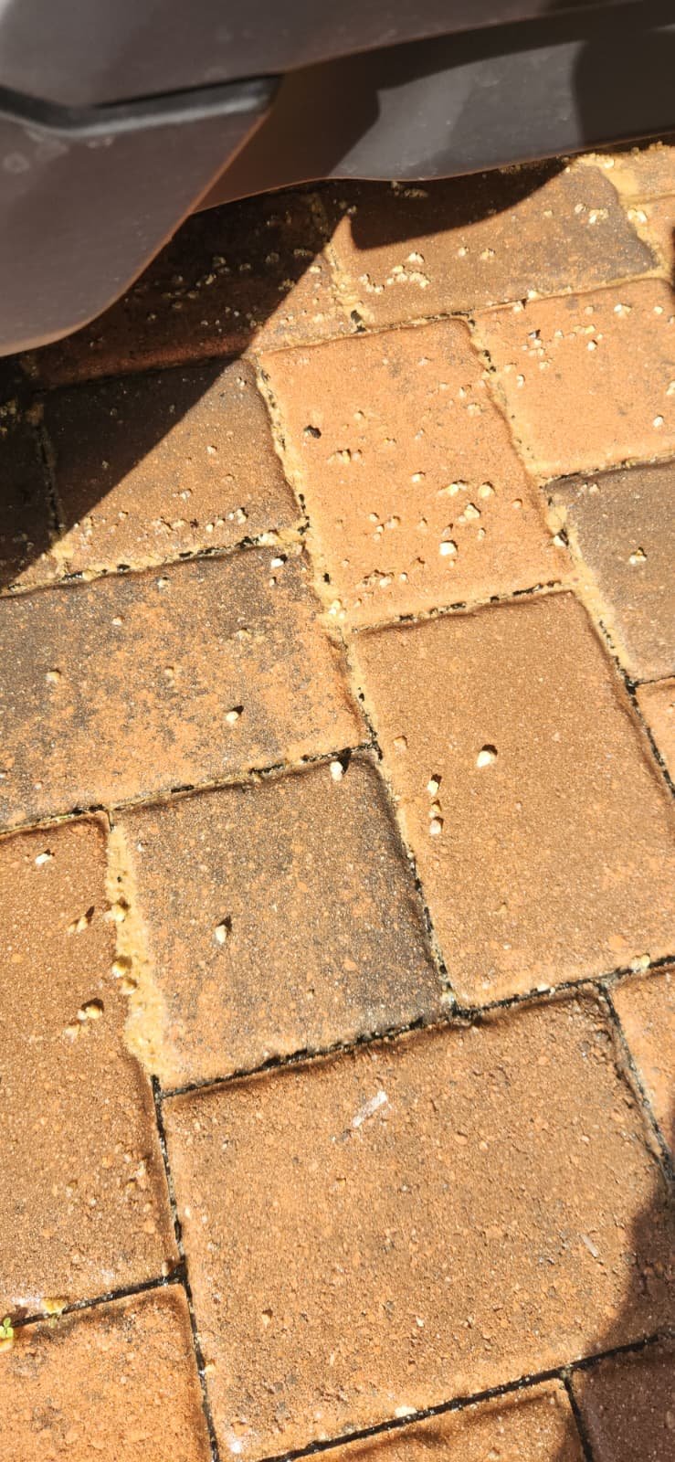 Water heater anode rod inspection service in Lutz, FL 33558