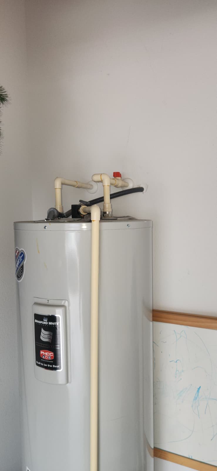 Water heater inspection and maintenance service in Lutz, FL 33558