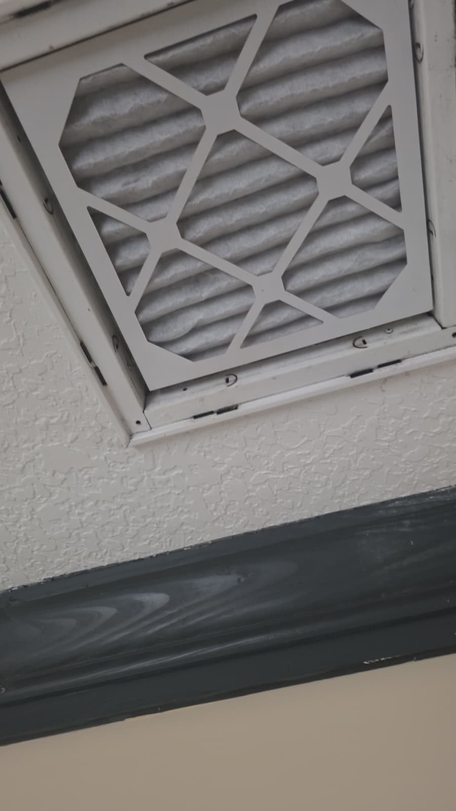 Duct sanitation work for Elite Home Therapy Plan in Tarpon Springs, FL 34689