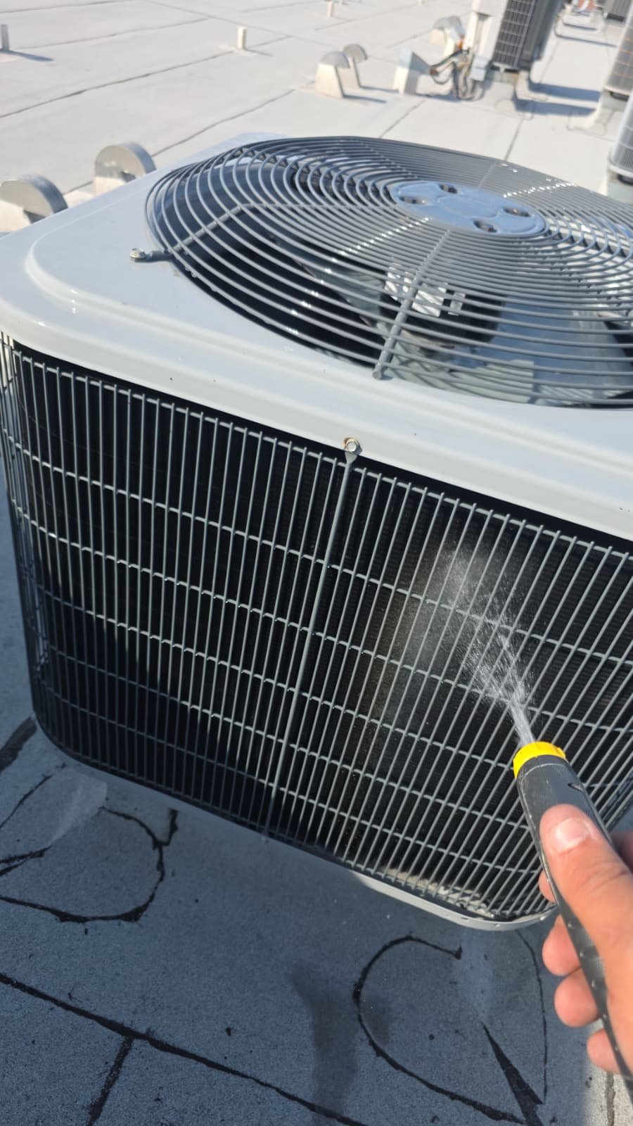 Completed AC tune-up results in Tampa, FL 33605 residential system