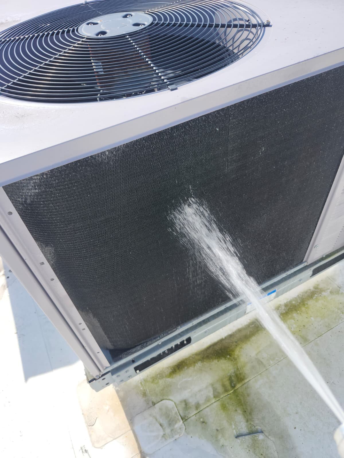 Rooftop Carrier package unit AC maintenance in Tampa, FL 33626