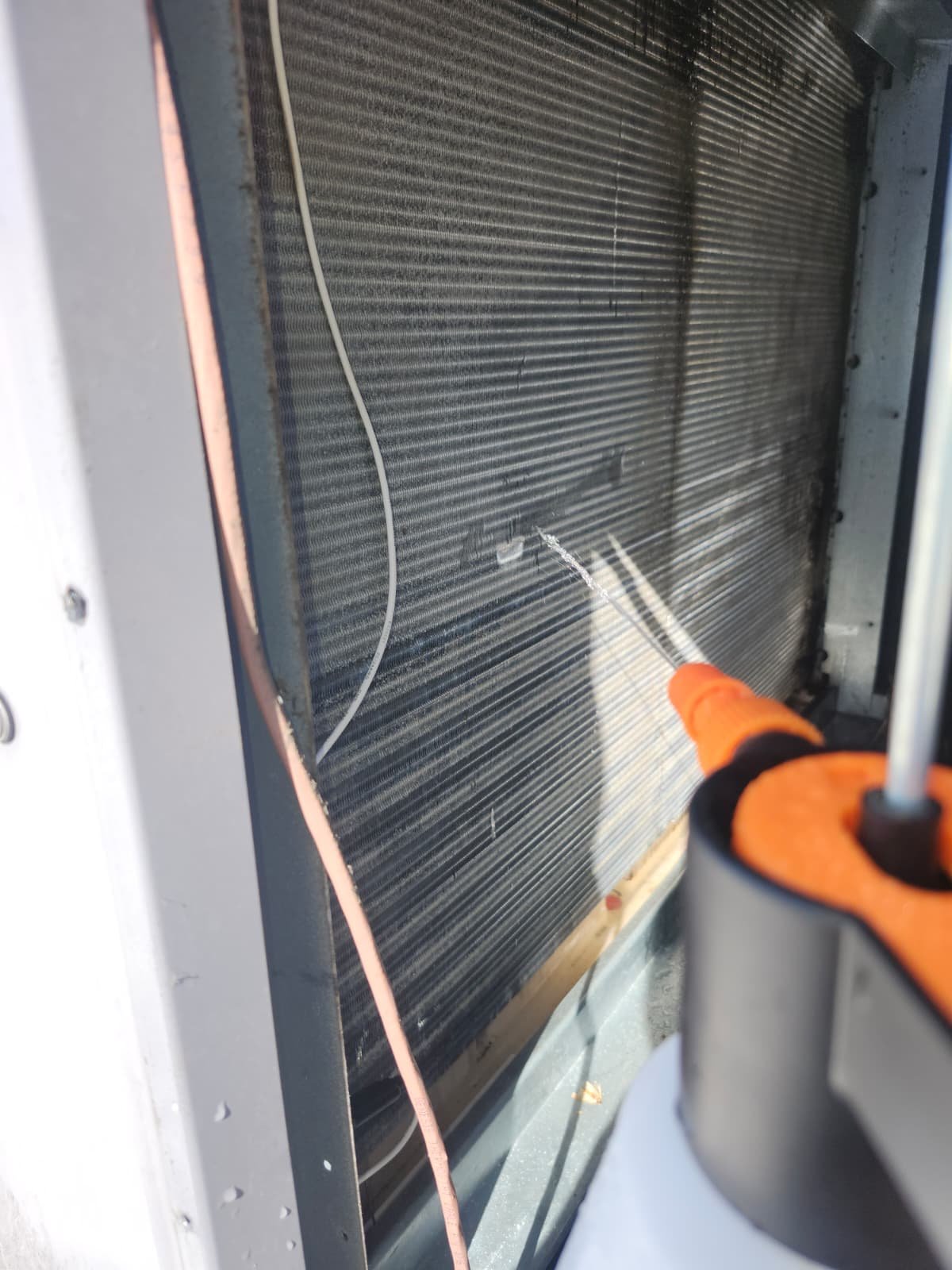 Condenser coil cleaning on Carrier rooftop unit in Tampa, FL 33626