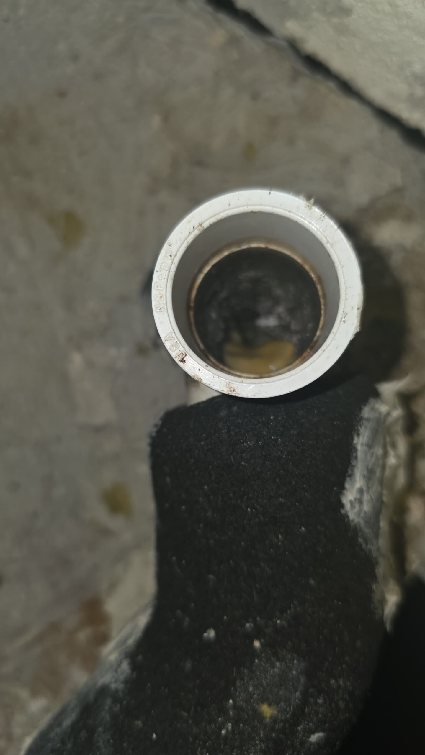 Blower motor and capacitor check as part of AC tune-up in Riverview, FL 33578