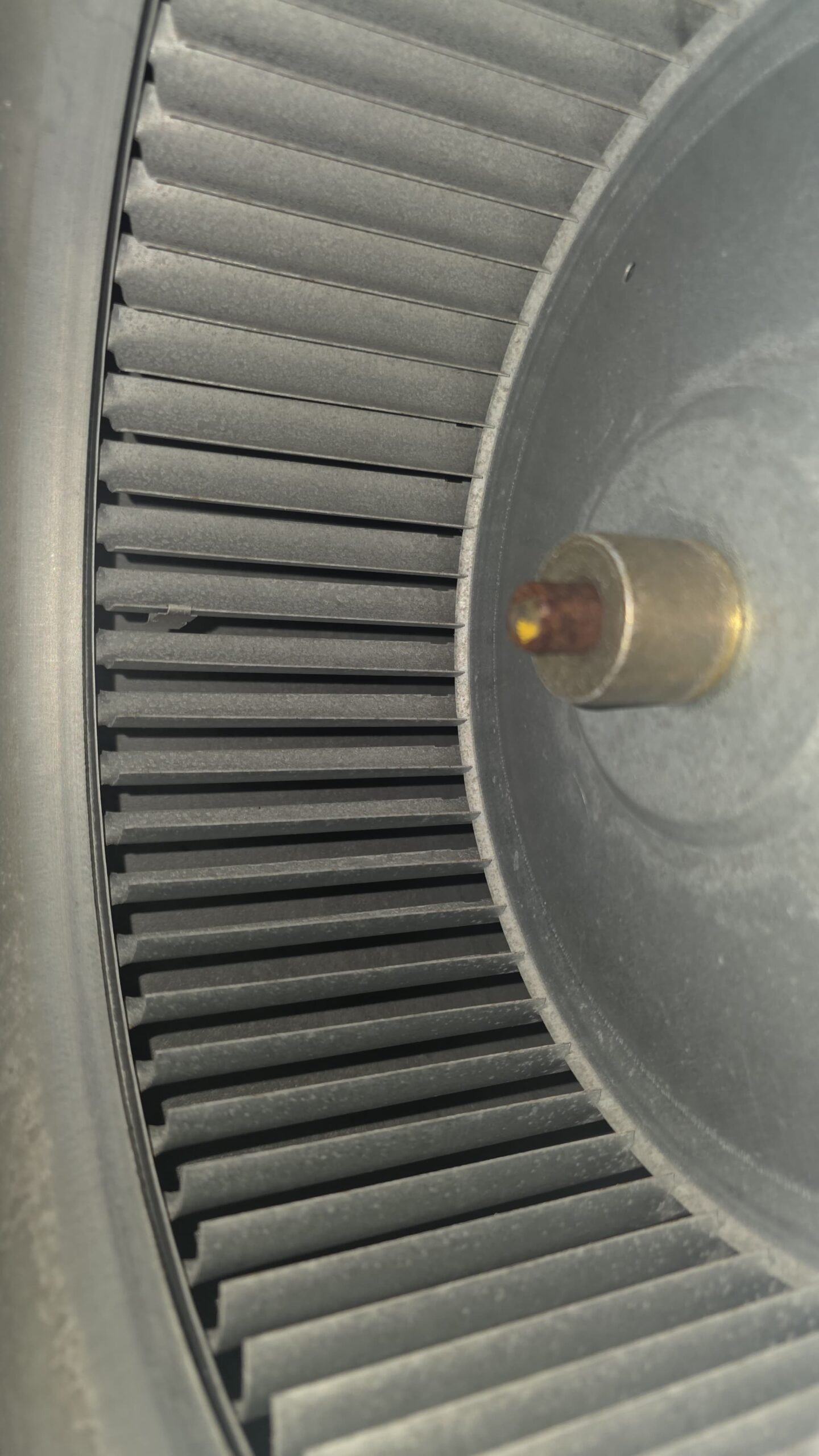 Condensate drain line flushing during AC tune-up in Riverview, FL 33578