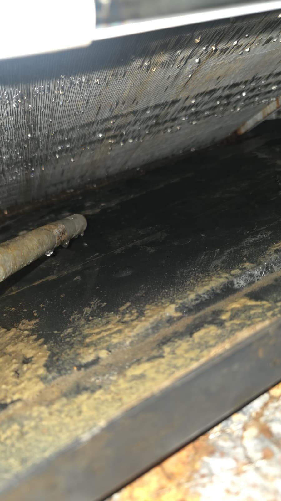 Elite HVAC maintenance cleaning indoor unit in Tampa, FL 33624