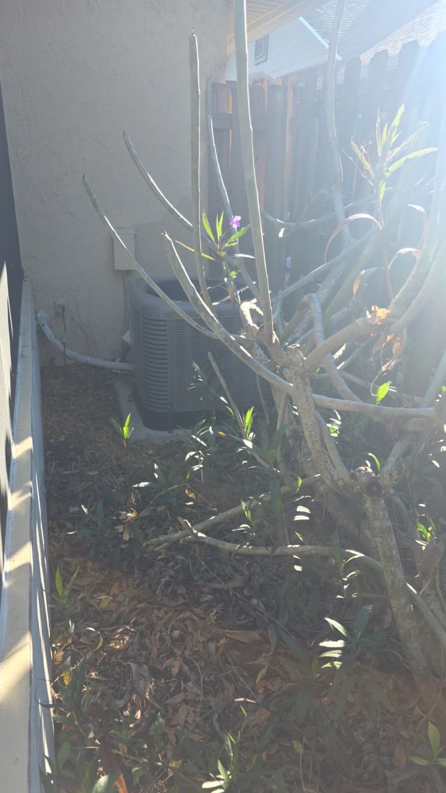 Elite Plan air conditioning tune-up verification in Clearwater, FL 33763